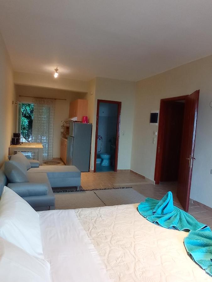 Litheri-Studios&Apartment パレオカストリッツア エクステリア 写真